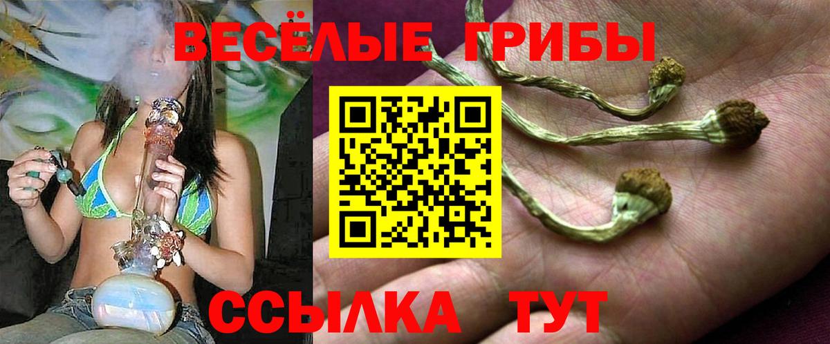 Псилоцибиновые грибы GOLDEN TEACHER  Вход с VPN  дарнет шоп  Лангепас  Псилоцибиновые грибы GOLDEN TEACHER 